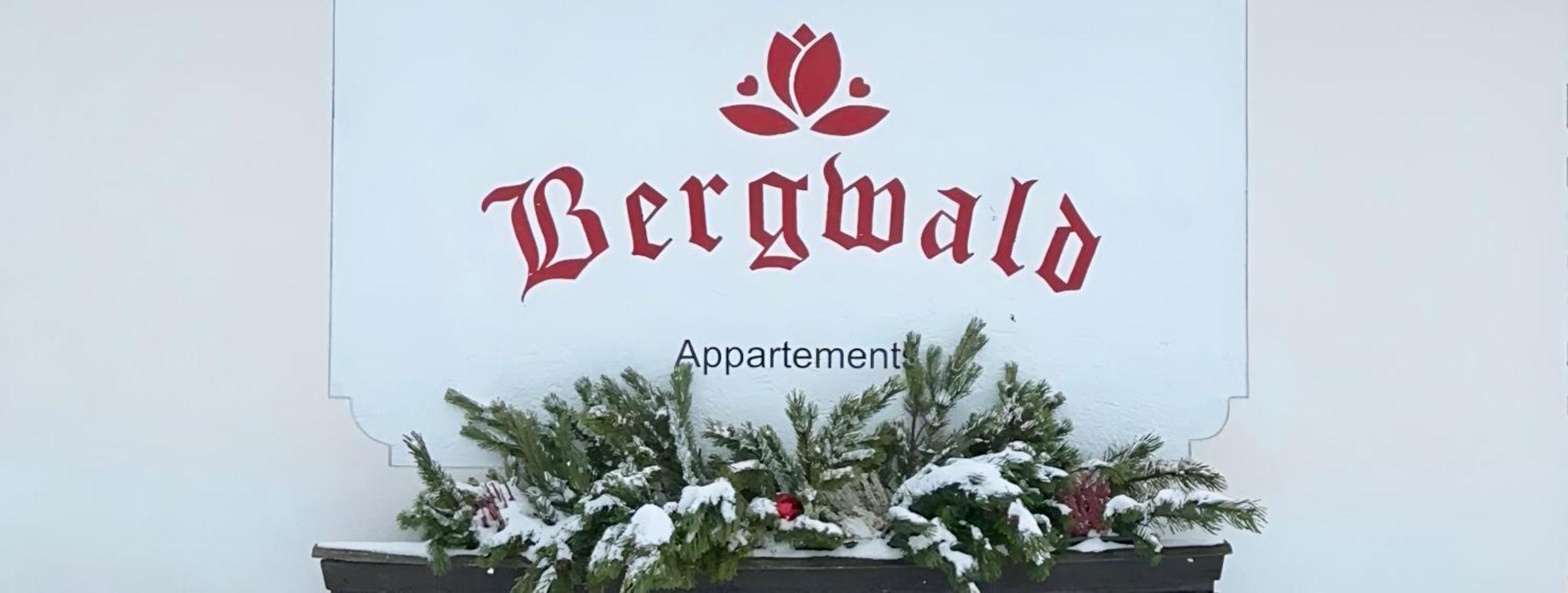 Apartmán Bergwald Alpbach Exteriér fotografie